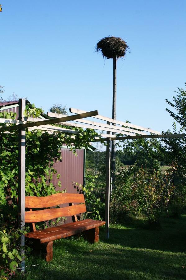 Pod Modrzewiem Pogorzelce Extérieur photo